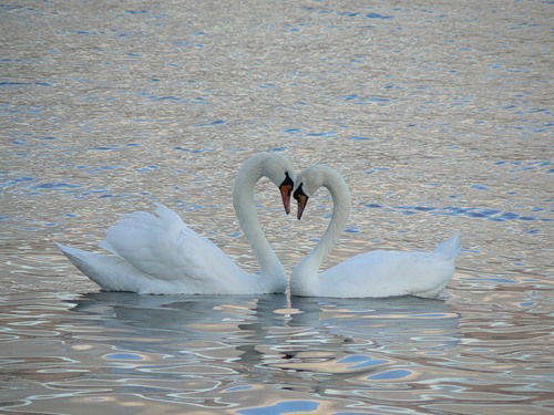 Галина Корякина