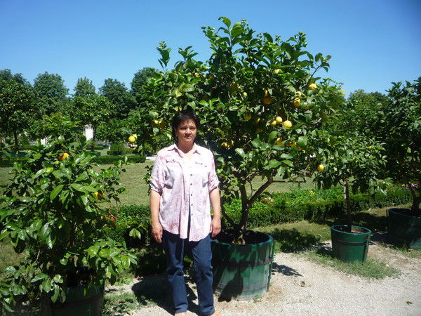 Лариса Будревич