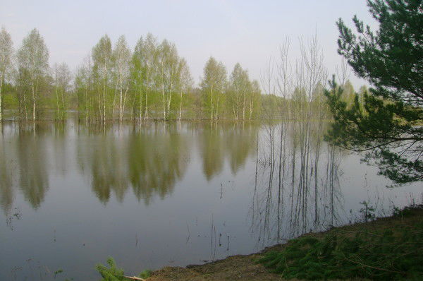 Павел Сысоев