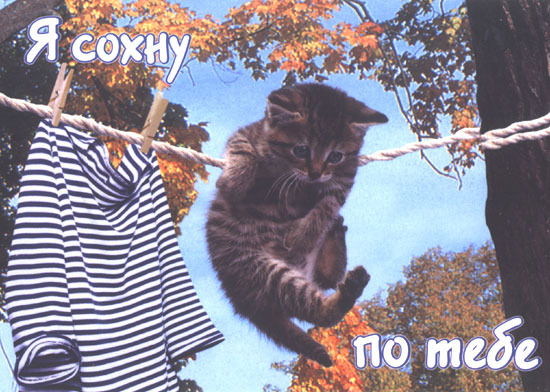 Юлия Шваякова