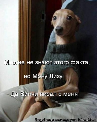 Людмила Михальчук