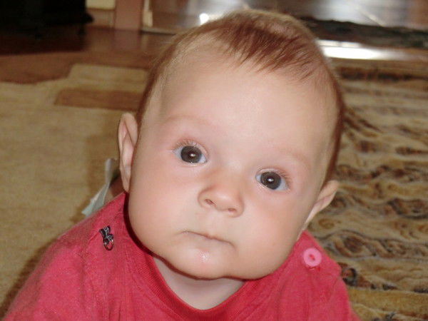 Дмитрий Мусин