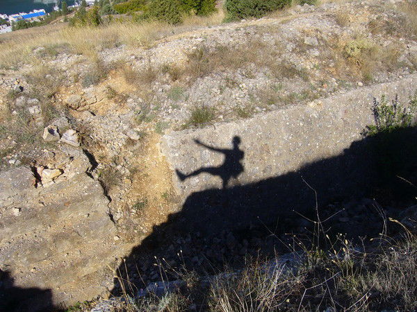 Алексей Ильиных