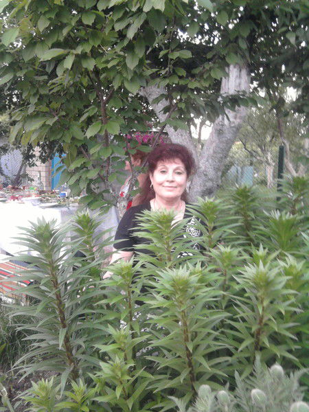 Пекарчук Любовь