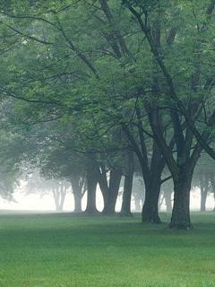 Саян Батуев