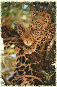 Журналист Маршрутник