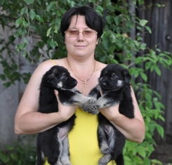 Елена Кузнецова