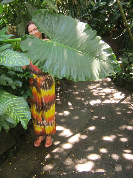 Татьяна Петренко