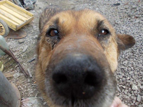 Алексадр Цывунин