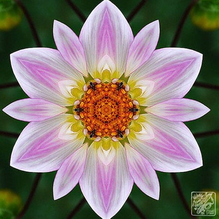 Цфихо Минкультуры Чувашии