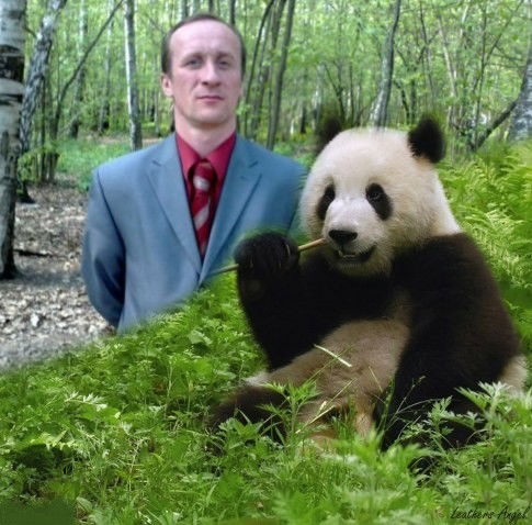 Владимир Алексеев