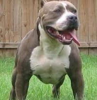 Эдуард Юмаев