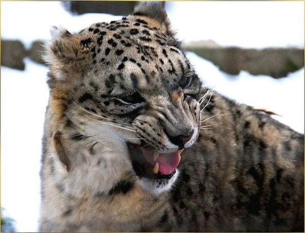 Настюша Назарова