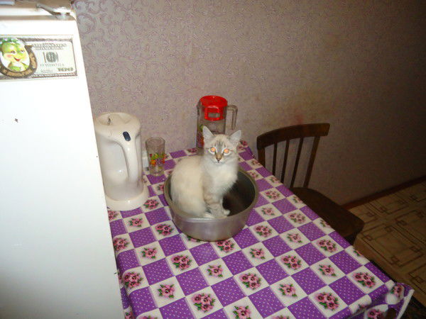 Каралина Георгиева