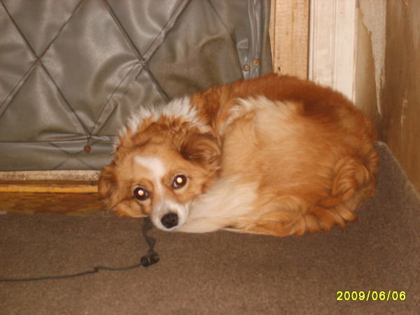 Катерина Сливина