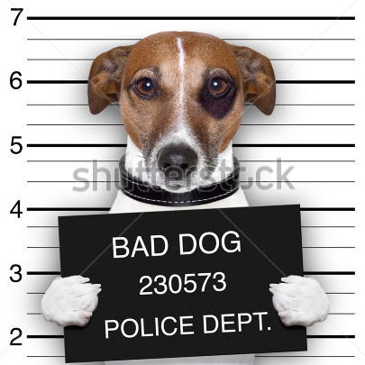 Ник Логвинов