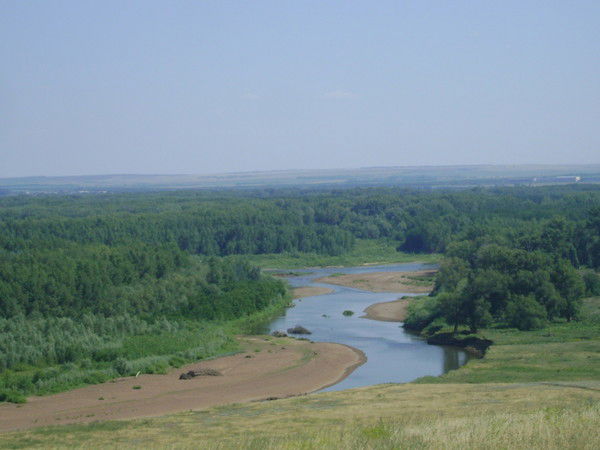 Василий Сотников