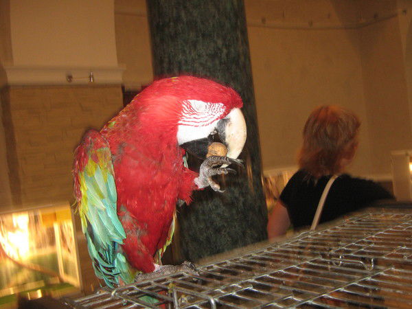 Вадим Мельников