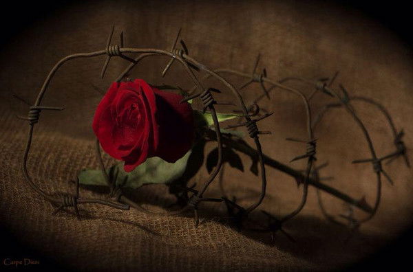 Наталья Евдокимова