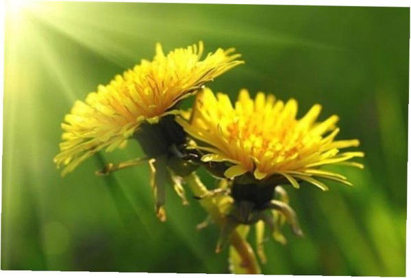 Гульмира Инкарбаева