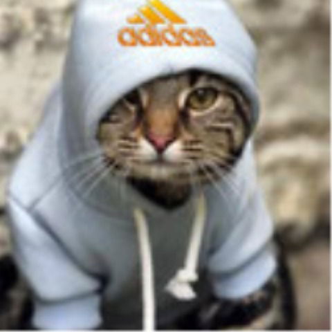 Виталя Нелидов