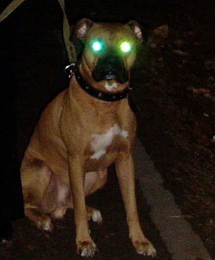 Alex290877 Alex290877