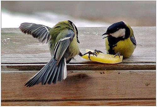 Закарья Ильясов