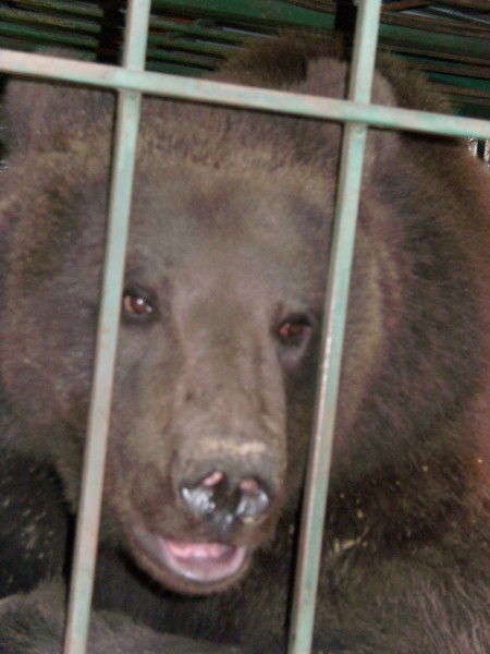 Максим Слюсарь