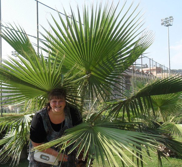 Юлия Живило