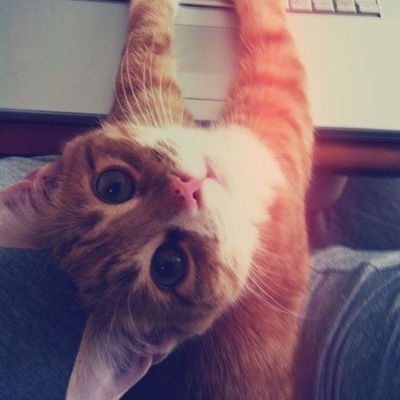 Степан Горин