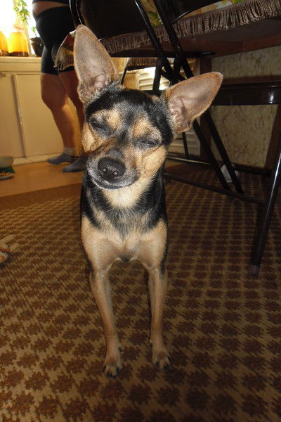 Эдуард Омаралинов