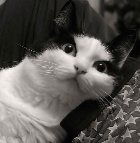 Ксения Деменко