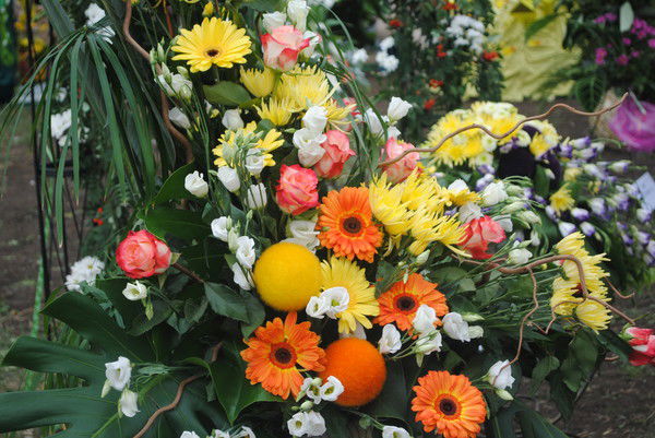 Наталия Дунаева