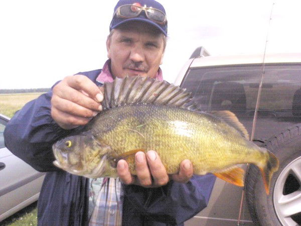 Вадим Геннадьевич Смолин