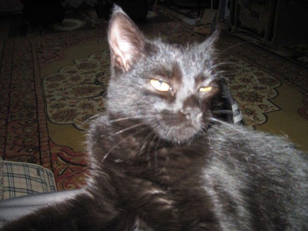 Александр Фоменко