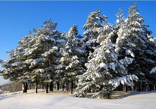 Неизвестно Неизвестно