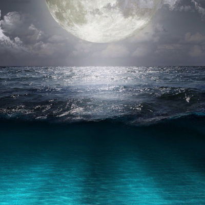 Юсуп Махашев