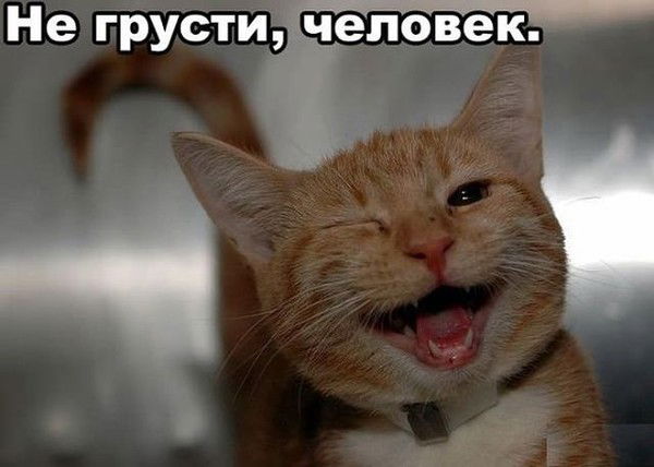 Ольга Щетинина