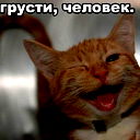 Ольга Щетинина