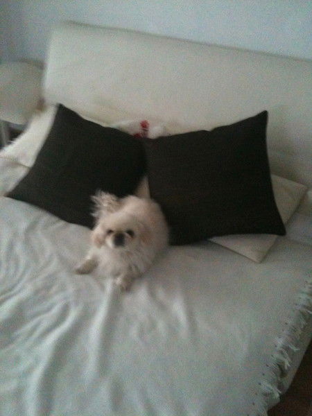 Наталья Фомичева