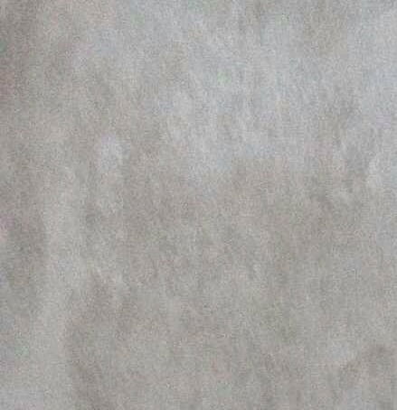 Елена Васильева