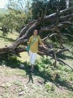 Назгуль Оморкулова