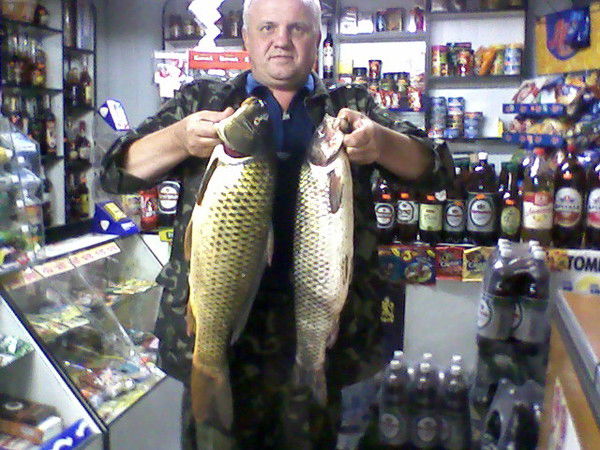 Анатолий Халецкий