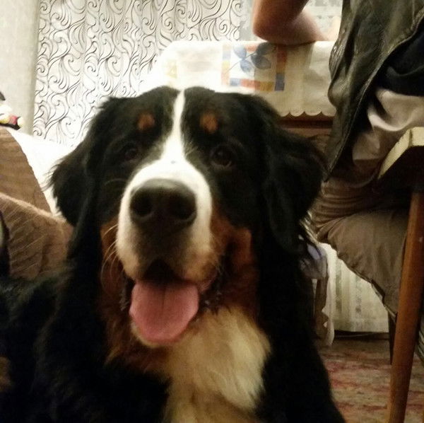 Алексей Давыдов