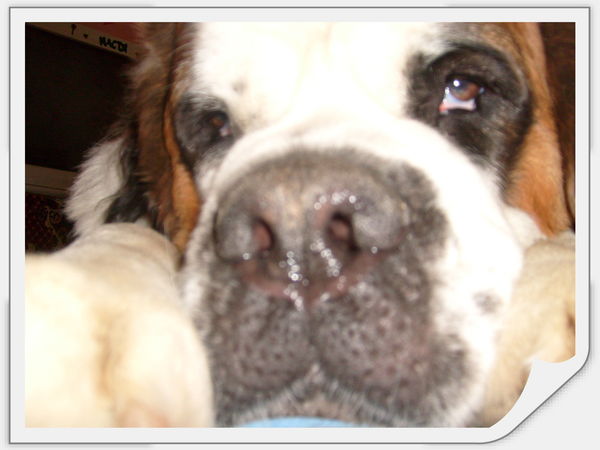 Анастасия Ковган