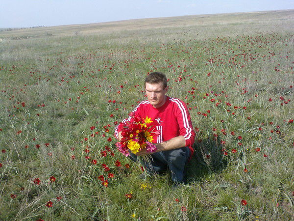 Алексей Ермилов