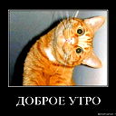 ... Макс