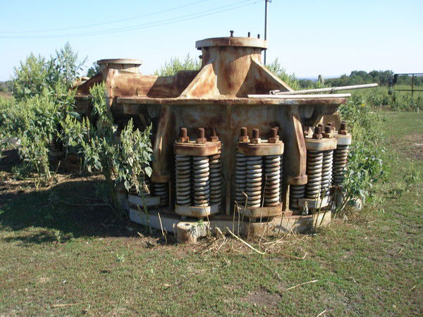 Светлана Павлюк