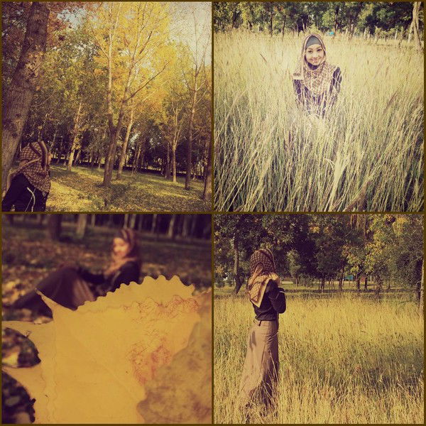 Elima°•° M°•°))