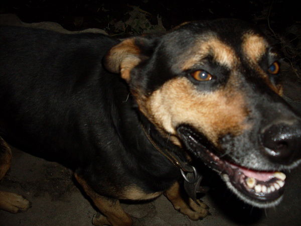 Михаил Попов